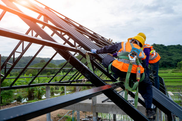 Best Roof Gutter Cleaning  in Murraysville, NC