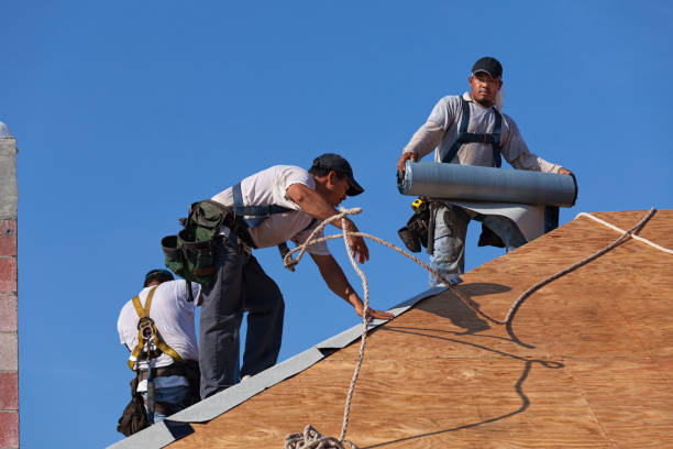 Best Residential Roof Replacement  in Murraysville, NC