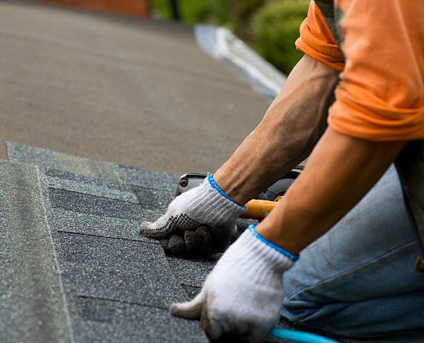 Best Gutter Installation and Roofing  in Murraysville, NC